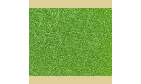 Wild Grass brght Green 50g